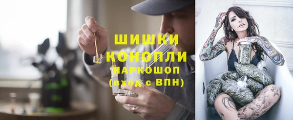 стафф Братск